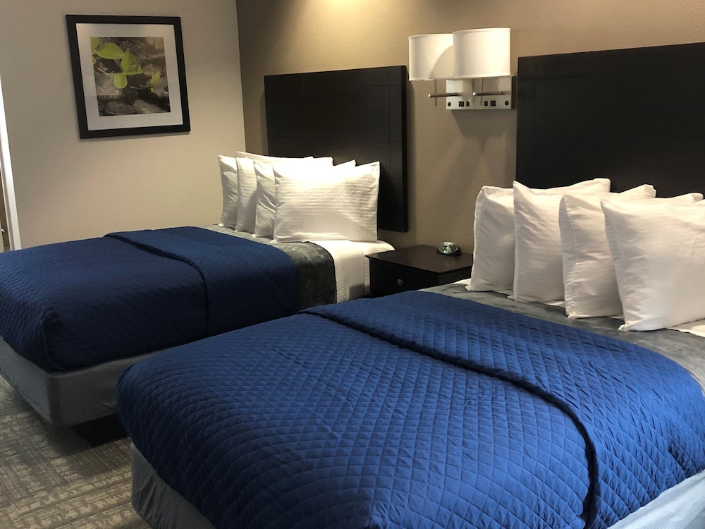 Suite with two beds photo 2