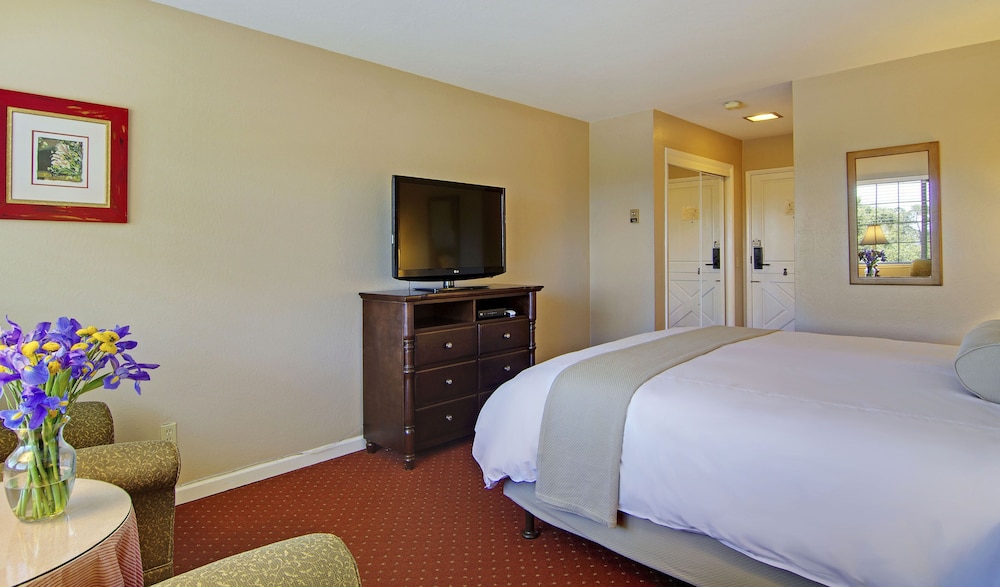 Standard Room, 1 King Bed (Pet Friendly)