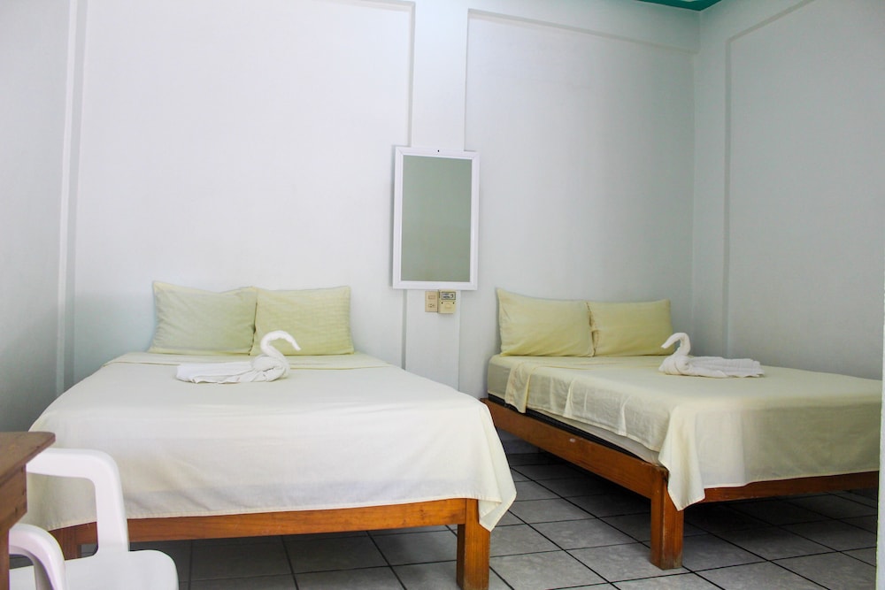 Basic Twin Room - Photo 1
