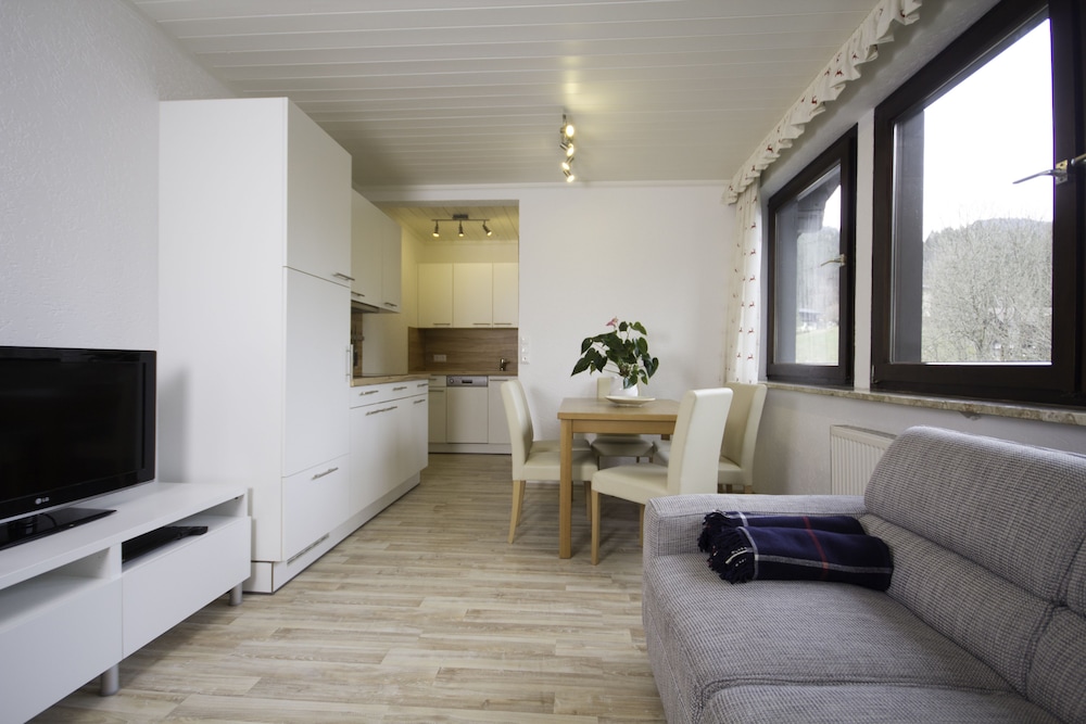 Family Apartment, 2 Bedrooms, Mountain View photo 3
