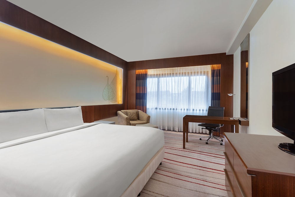 Room, 1 King Bed