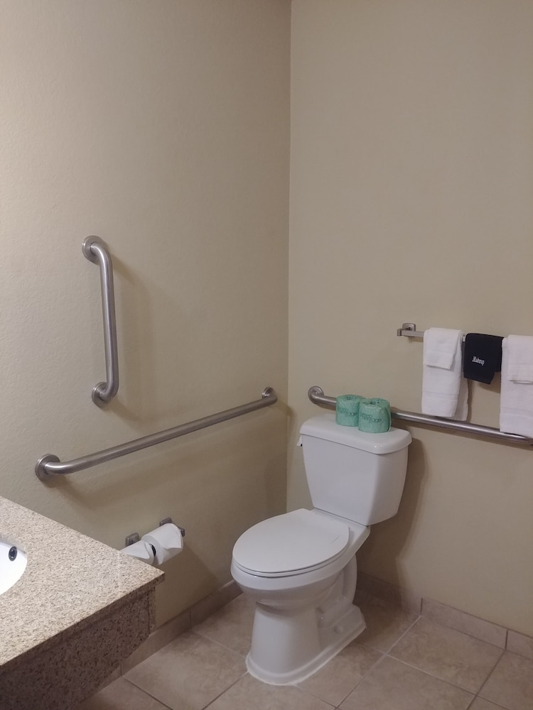 Suite, 1 King Bed, Accessible, Non Smoking photo 3