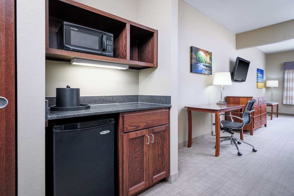 Standard Room, 1 King Bed, Non Smoking, Refrigerator & Microwave photo 3