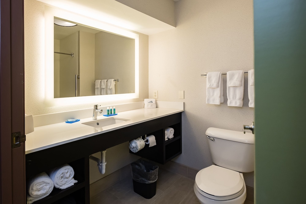 Standard Room, 1 King Bed, Accessible, Non Smoking (Communications) - Photo 5