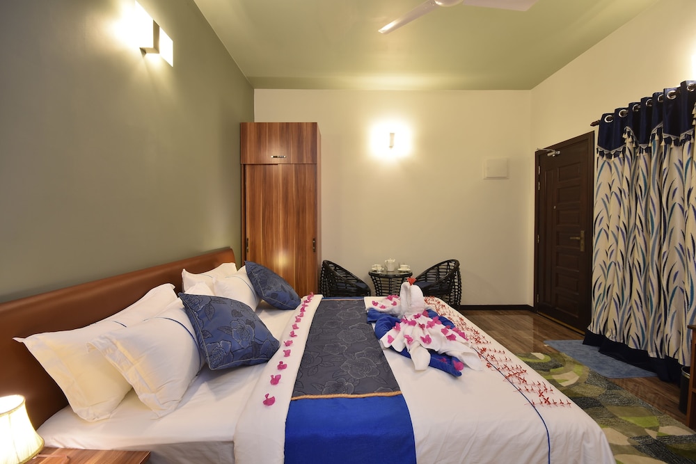 Deluxe Double or Twin Room photo 2
