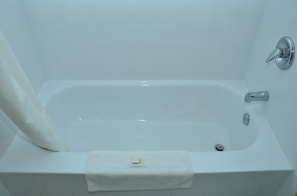 Room, 1 King Bed, Non Smoking (Pet Friendly) - Photo 12
