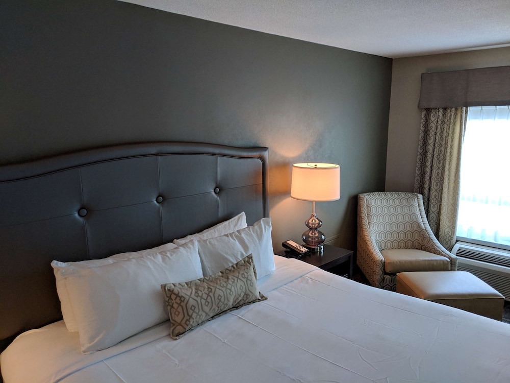 Executive Room, 1 King Bed, Refrigerator & Microwave, Lake View photo 1