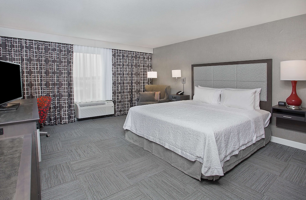 Room, 1 King Bed, Accessible (Mobility & Hearing, Roll-in Shower) photo 1