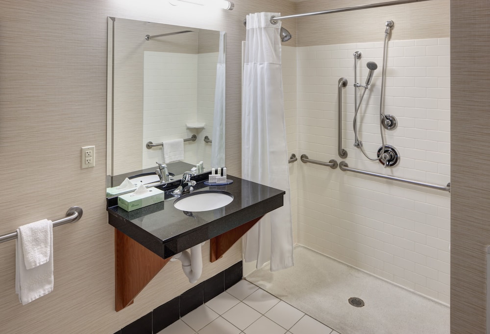 Room, 1 King Bed (Mobility Accessible, Roll-In Shower) - Photo 4