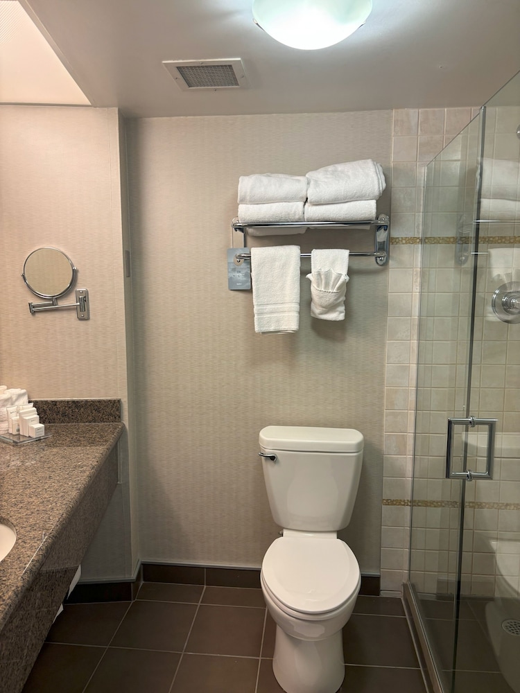 Single Room, 1 King Bed, Non Smoking, City View