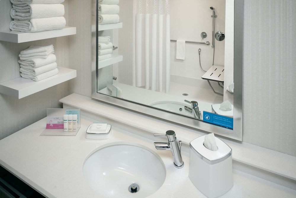 Room, 1 King Bed, Accessible (Roll-in Shower)