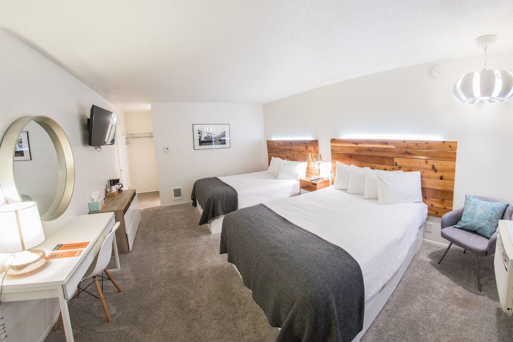 Basic Single Room, 2 Queen Beds photo 2