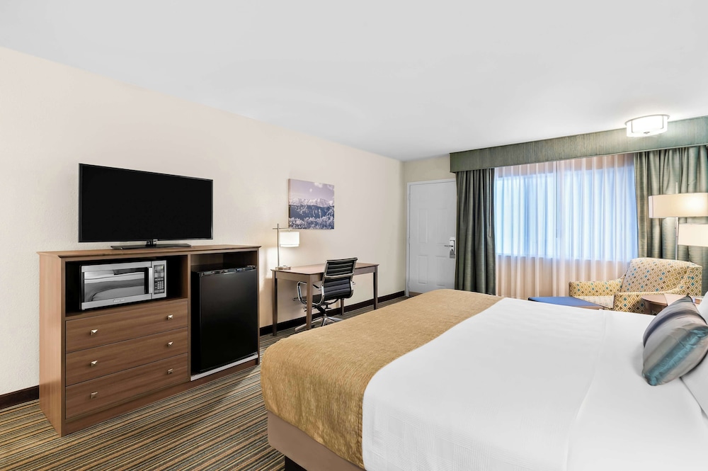 Standard Room, 1 King Bed, Non Smoking, Refrigerator & Microwave photo 2