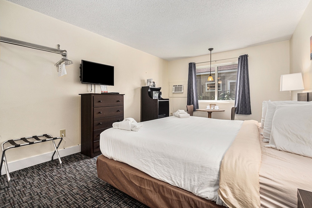Basic Single Room, 1 King Bed, Microwave photo 2