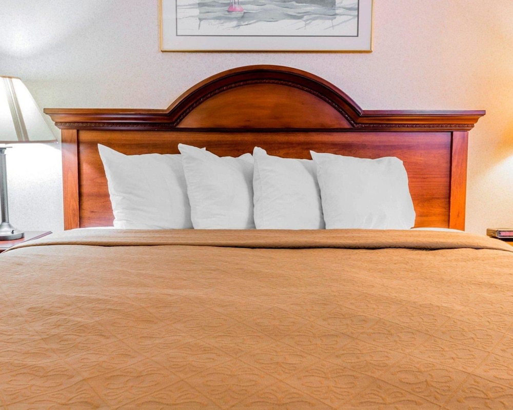 Standard Room, 1 Queen Bed, Accessible, Non Smoking (Roll-In Shower) photo 3