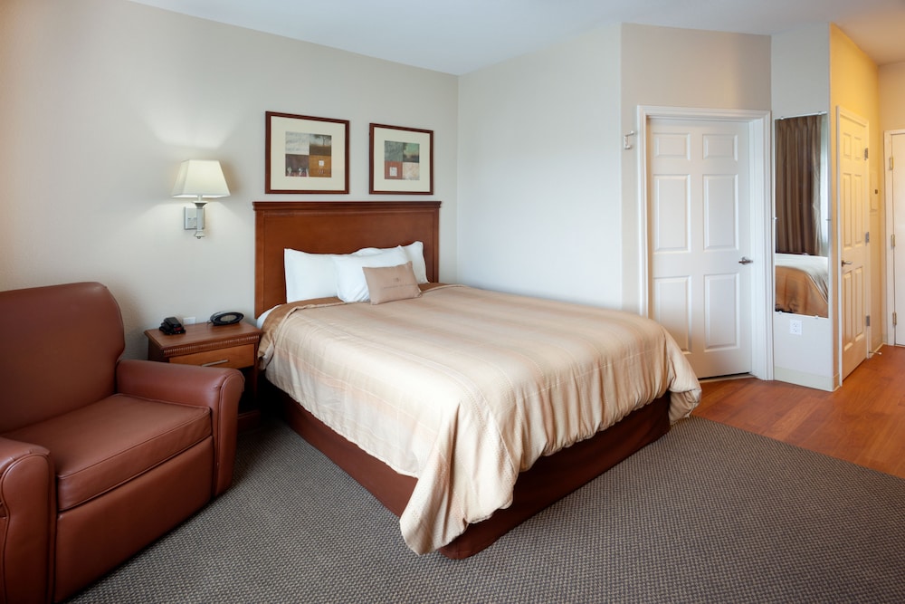 Room, 1 Queen Bed, Roll-in Shower (Roll-In Shower) - Photo 1