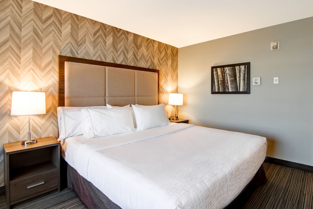 Business Room, 1 King Bed with Sofa bed photo 3