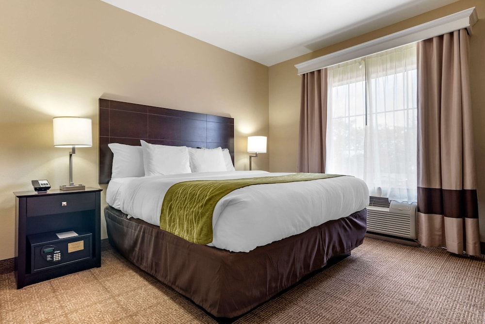 Suite, 1 King Bed, Non Smoking, Separate Seating Area and Wet Bar - Photo 2