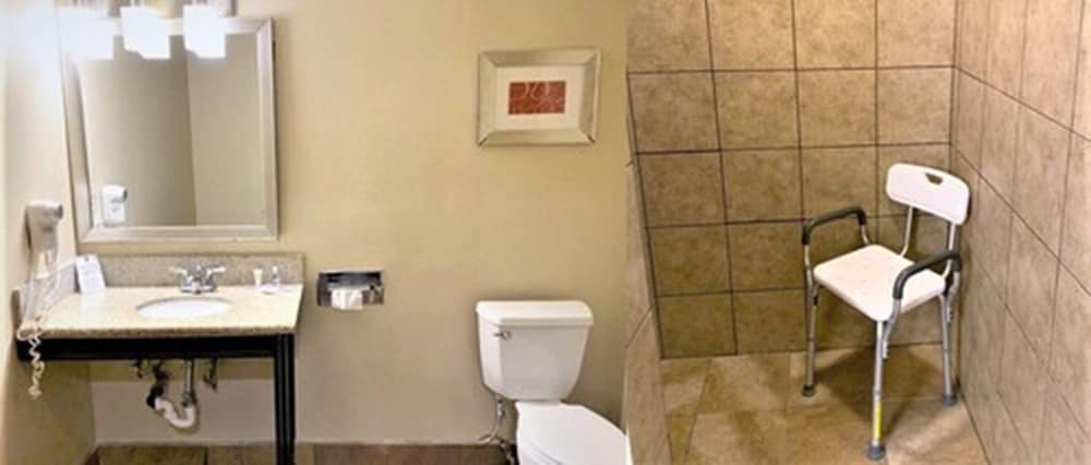 Suite, 1 King Bed with Sofabed, Accessible Roll-In Shower, Non Smoking - Photo 9