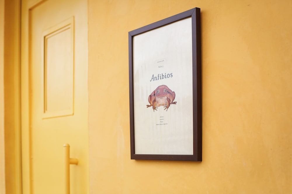 Design Double Room photo 2