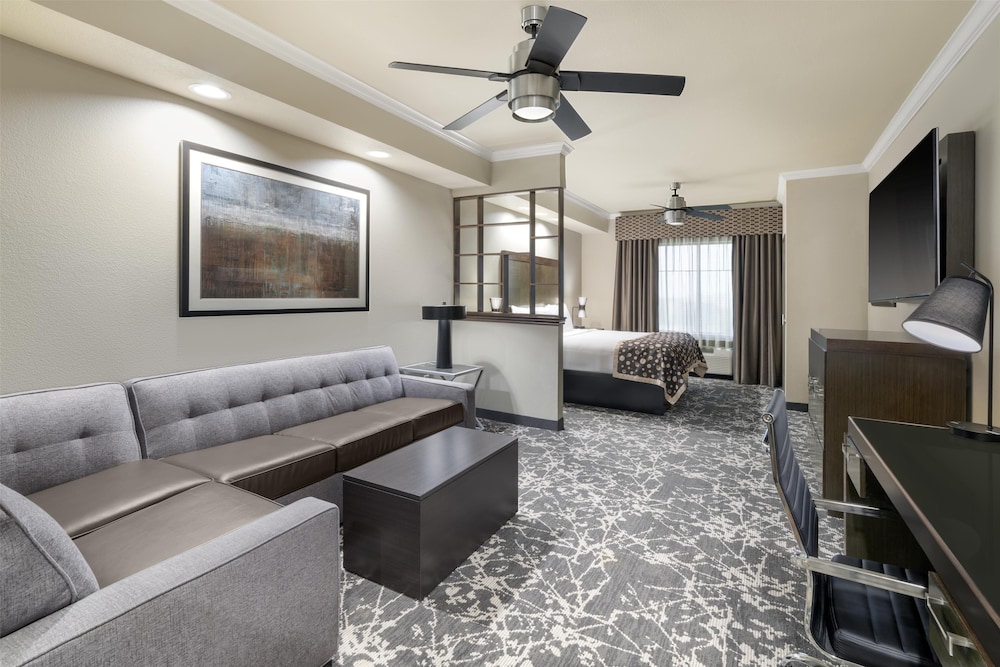 Standard Room, 1 King Bed, Accessible, Refrigerator & Microwave (Walk-in Shower;with Sofabed) - Photo 1