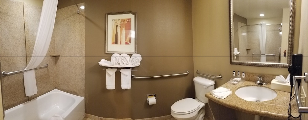 Suite, 1 King Bed With Sofa Bed, Accessible, Non Smoking