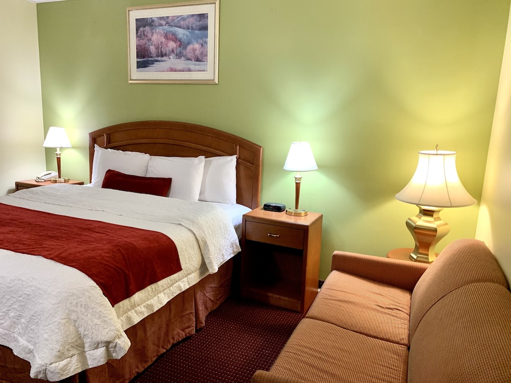 Superior Single Room, 1 King Bed photo 1