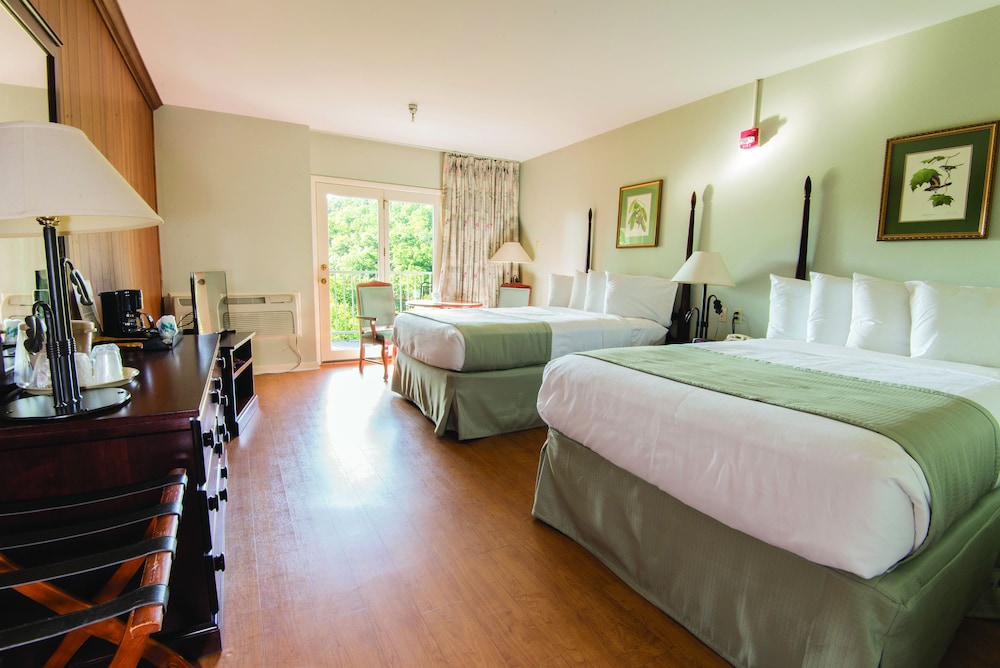 Standard Room, Balcony, Mountain View photo 1
