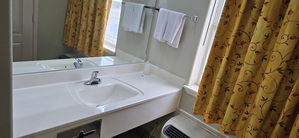 Deluxe Room, 1 King Bed, Non Smoking, Refrigerator & Microwave - Photo 15