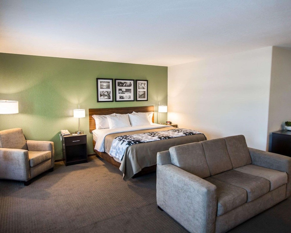 Suite, 1 King Bed with Sofa bed, Non Smoking, Jetted Tub photo 2