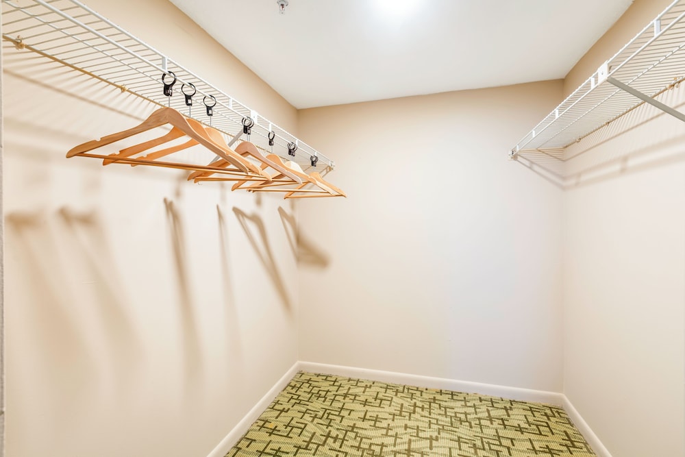 3 Bedroom Suite with Washer and Dryer - Photo 13
