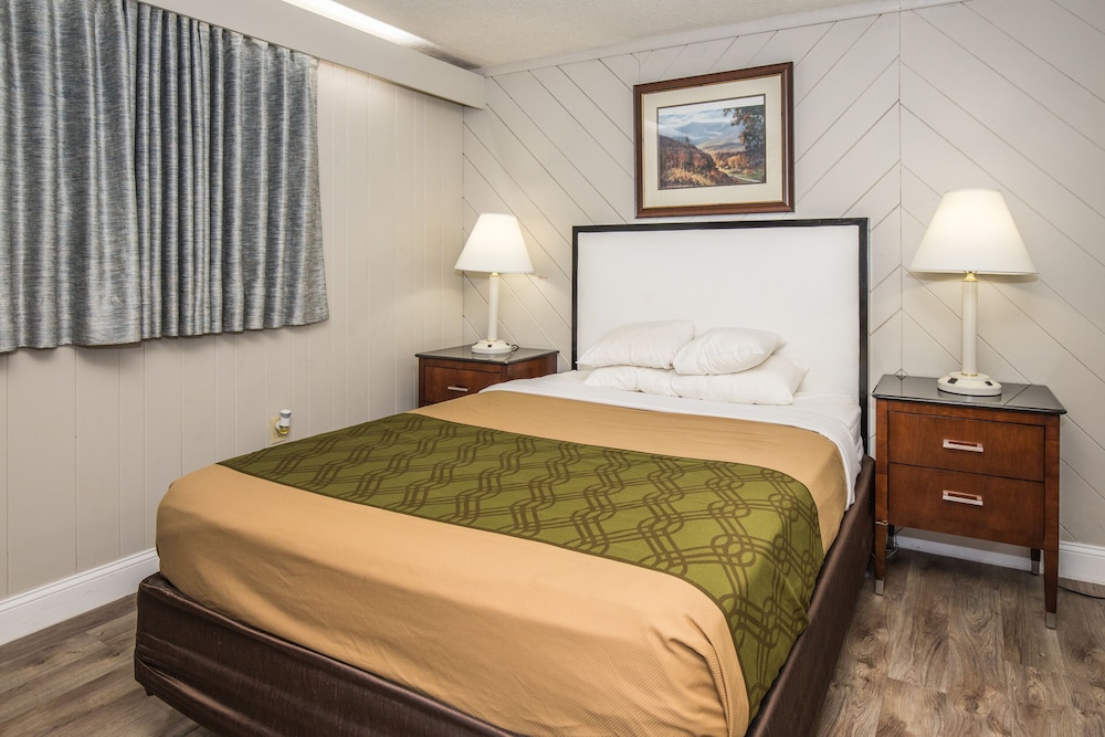 Single Room, 1 Queen Bed - Photo 1