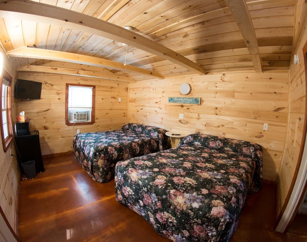 Cabin 2 King Beds photo 3