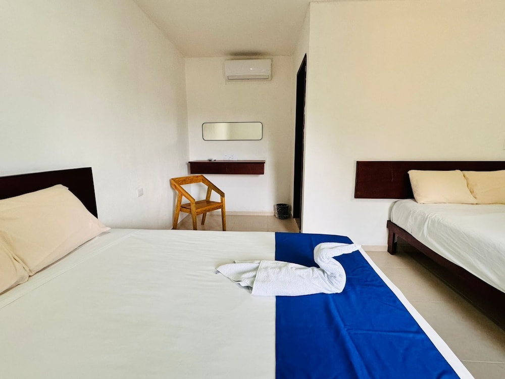Comfort Double Room, Garden View photo 3