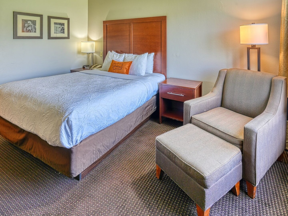 Standard Single Room - Photo 2