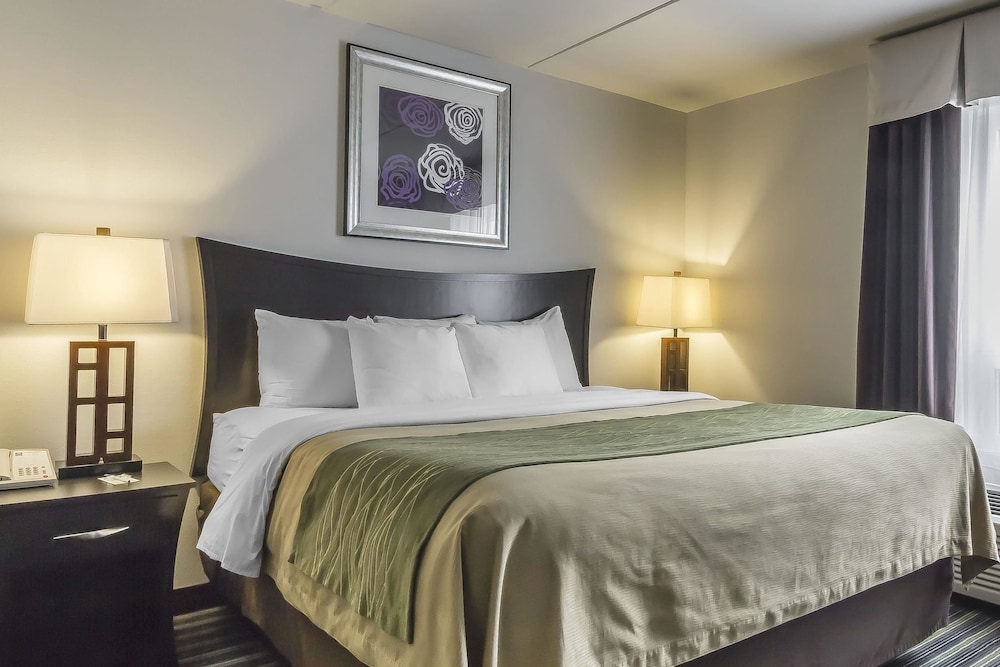 Suite, 1 King Bed with Sofa bed, Non Smoking
