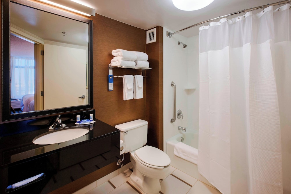Suite, 1 King Bed with Sofa bed