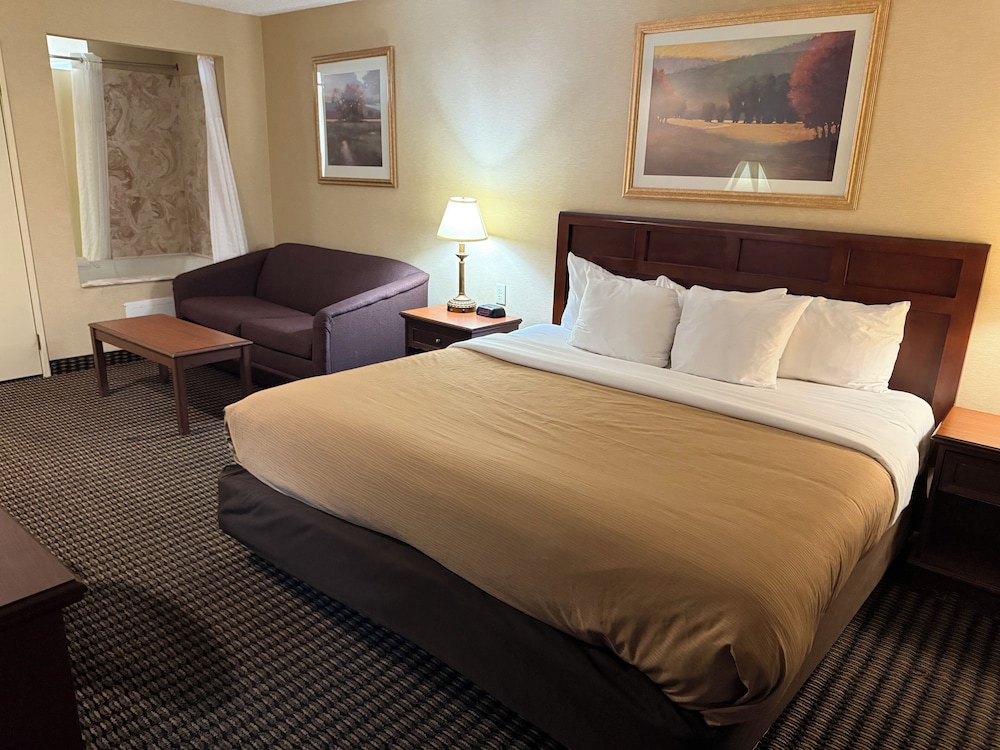 Room, 1 King Bed, Mobility Accessible, Non Smoking (Mobility, Bathtub W/grab Bars) - Photo 2