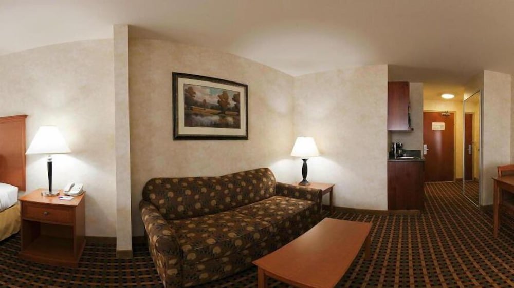 Suite, Accessible (Hearing, Roll-In Shower) - Photo 3