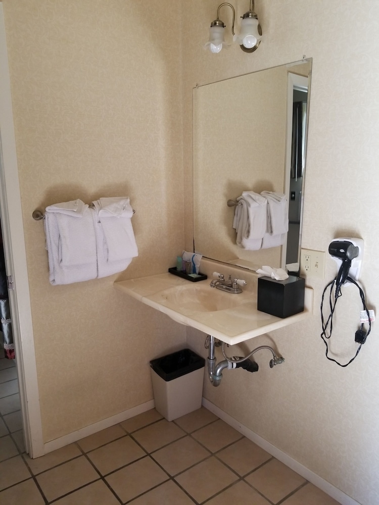 Studio, 1 King Bed, Accessible (King Studio ADA) - Photo 9