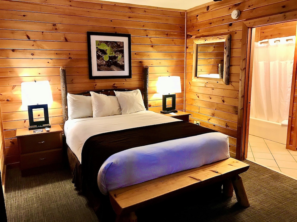 Lodge Room, 1 Queen Bed and 1 Twin photo 1