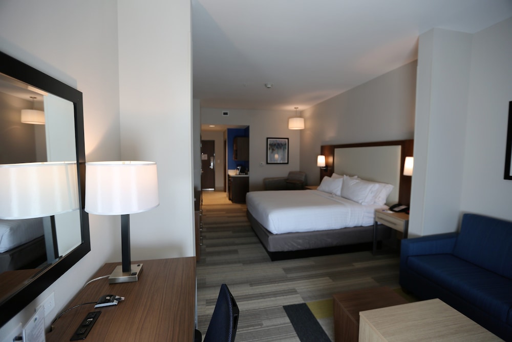 Suite, 1 King Bed photo 1