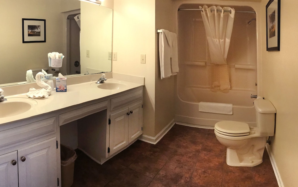Deluxe Suite, 1 King Bed photo 3