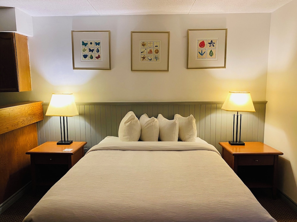 Basic 1 Queen Bed Studio - Conference Centre - Photo 1