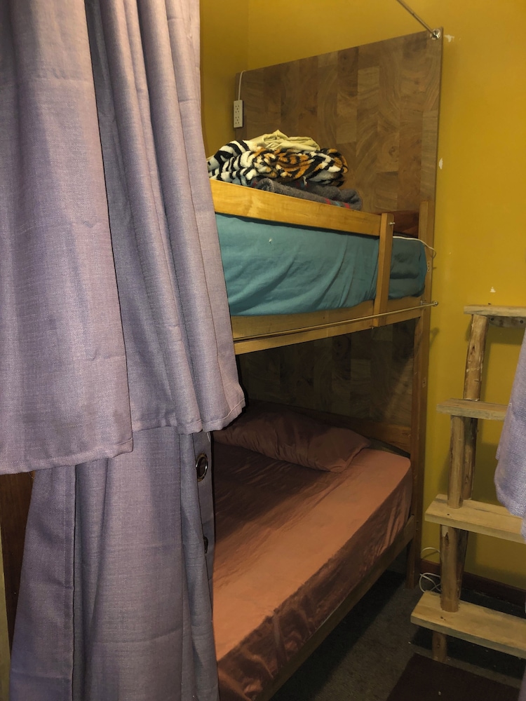 Shared Dormitory, Women only (4 beds) photo 3
