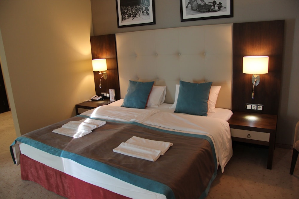 Comfort Studio, 1 King Bed with Sofa bed, Kitchenette photo 1