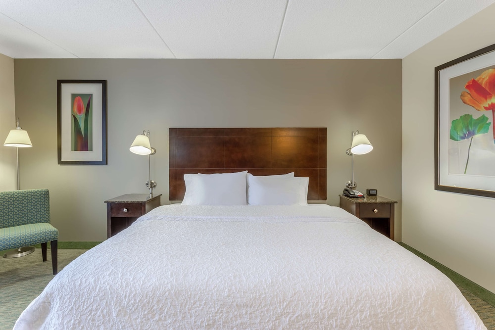 Classic Room, 1 King Bed, Accessible (Roll-In Shower) - Photo 4