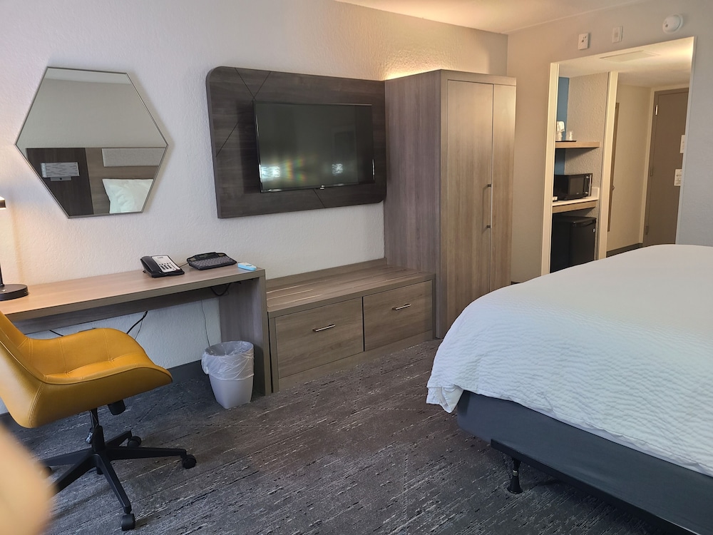 Standard Room, 1 King Bed, Accessible (Communications, Accessible Tub) - Photo 4