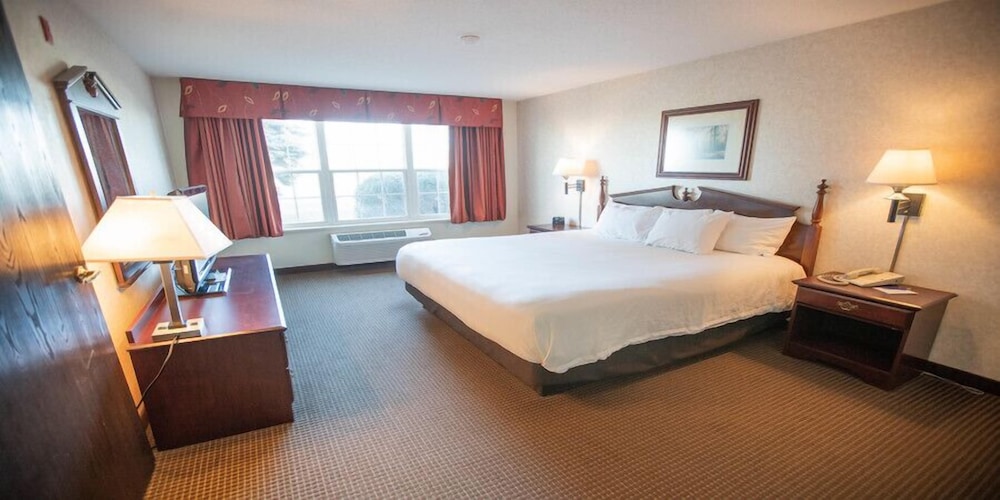 Standard Room, 1 King Bed, Accessible, Smoking photo 1