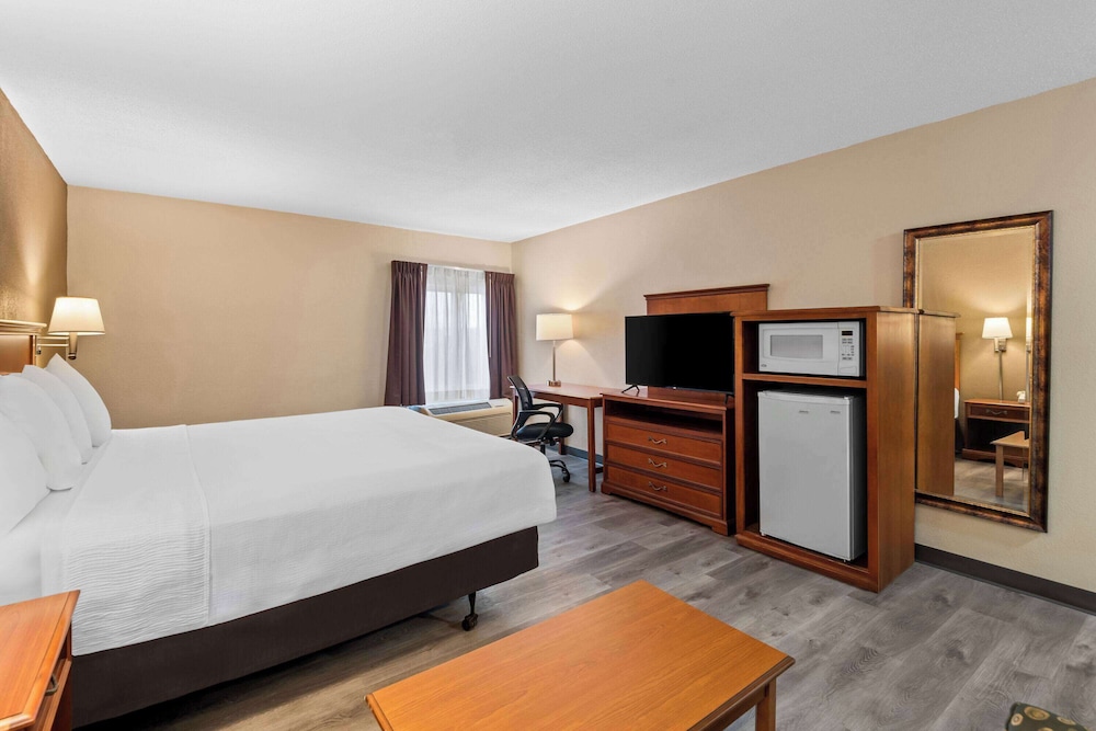 Room, 1 King Bed, Mobility Accessible, Non Smoking (Mobility, Bathtub W/grab Bars) - Photo 6